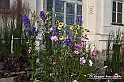 VBS_6777 - FLOREAL Ottobre 2022 - Tre giorni di fiori, piante e bellezza